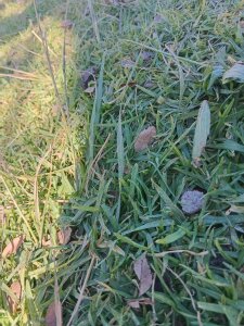 Fernano4034 Public Pic 2