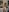 SofiaLopez77のIn underwear in my kitchenの 3枚の写真