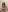 Anika_bloom Floral mood Pic 5