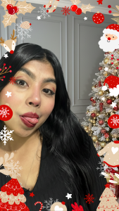 🎄 Navidad 2025 ⛄ de Diane_Ritz  Imagens