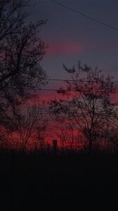 MinaMancilla aesthetic vibes Pic 2