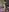 Emilly_HartのSanta Claus's Preyの 2枚の写真