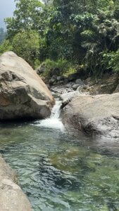 nature knows best🌱˚⊹ de TS-SimplyTheBest  Imagens