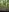 Ary-18 outdoor in the forest Pic 5