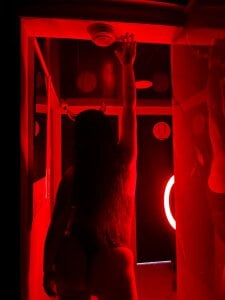 Public de Taylor-hardcore  Imagens