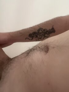 ChestnutOlefin Why not? Pic