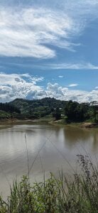 Paradisse_ Ela✨ صورة واحدة|Paradisse_ Ela✨ صورتان|Paradisse_ Ela✨  3 صور|Paradisse_ Ela✨  3 صورة