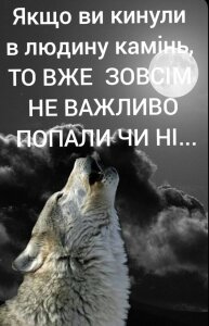 NSN_4lives🌿🌿🌿🌿🌿🌿🌿 Bild 2