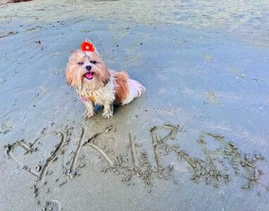 isabel_jaames Happy girl strolling 🚶‍♀️😊🌸 Thanks to your love, I get to enjoy days like this 🌅💙 Love you! ❤️ Pic 5