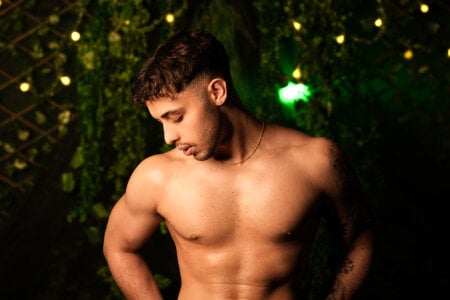 Austin_coljs san patricio зображення