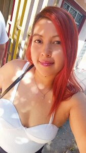 ElaxVex Public Εικόνα 6