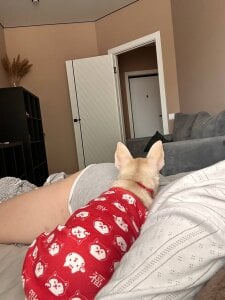 LaveraMeling wake up my evening Εικόνα 5