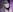 Vanessa_Ives_ worship your mistress Pic