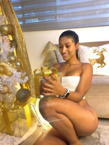 Vega___16 Merry Christmas 2025🎄 Pic 4