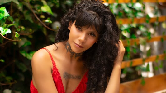 Public de StormyWestl  3 Imagens