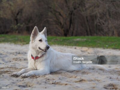 ricardobolinha Casa Pic