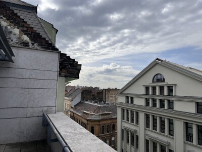 Big_Red_Bird Public Pic 7