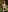 YourBabyPearl Farm Girl Fotografie 2