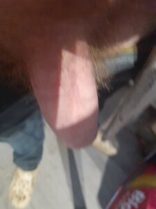 tezbear Public Pic 2