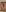 Radiants_two Jess's nude pussy photoset Pic 3
