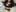 ZaraFrancis HomeGirl (Nude-version) Pic 6