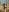 Kismet_Nyx Sexy Doll in Forest Pic 3