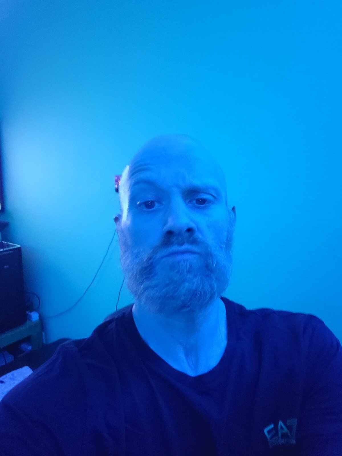 Foto  6803 de Polskapsyc – em alta