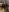 Niceorange69 双马眼肉棒（Double horse eye meat stick） 사진 6