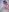 Lollipop_GirlsJouw cadeau照片 6