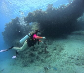 PollyGrey_ a happy day 🌊 Εικόνα 4