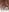 Sweettalexxia19Only my pussy照片 4