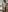 Constancia_pureOh, spinning照片