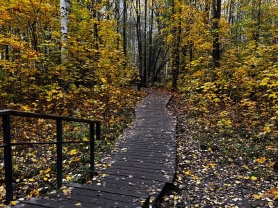 AlexFH Just walking along the eco trail зображення 5