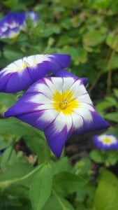 FreezingTie850 Public รูป  4