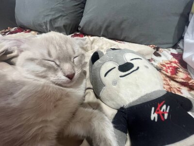 DelphaDivenere ❄⛄❄ Pic 2