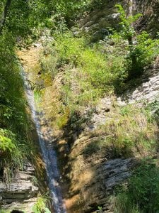 LisaSmiths Liza is back!!! Pic 5