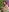 saritha_cute_ Your mischievous baby Pic 3