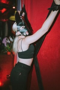 DiaVolperi Public Pic 4