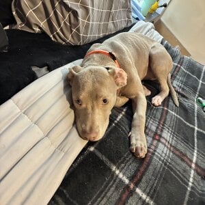 MILEHIGH711 Public Εικόνα 7