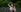 ModelBaby solitude with nature Fotografie 6