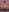 Skye_KaleenaNude Gamer Photoset照片 6