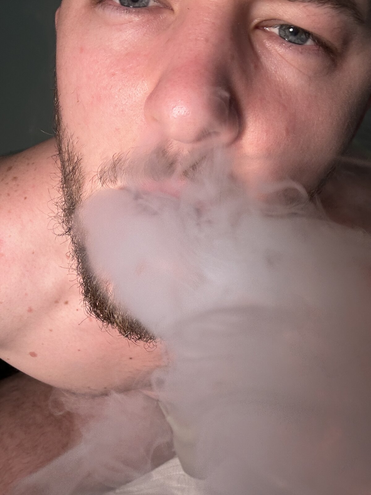 BLue_eyed_Bully 热门图片 8066