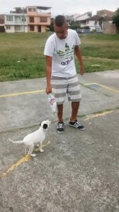 Sebastian2353 Todo lo rico Pic 3