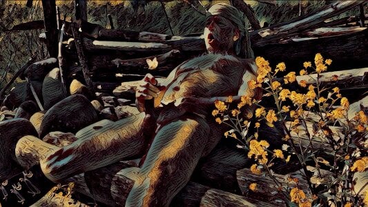 artXhibitor butterfly 사진