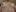 Antonellaparis_ Latina erotica touching herself in the shower 🔥👌 Photo 9