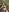 Tefy-Rose 𝐀 𝐋𝐈𝐓𝐓𝐋𝐄 𝐁𝐈𝐓 𝐎𝐅 𝐌𝐘 𝐓𝐑𝐈𝐏 Pic 4
