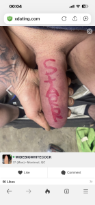 WIDBIGWHITECOCK Public Immagine  4