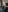 fionazoomer Tease & Please Pic