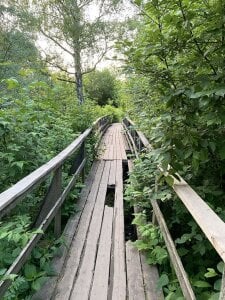 EasterHatter first warm day oj July Pic 4