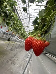 marika_mm Public Foto 4